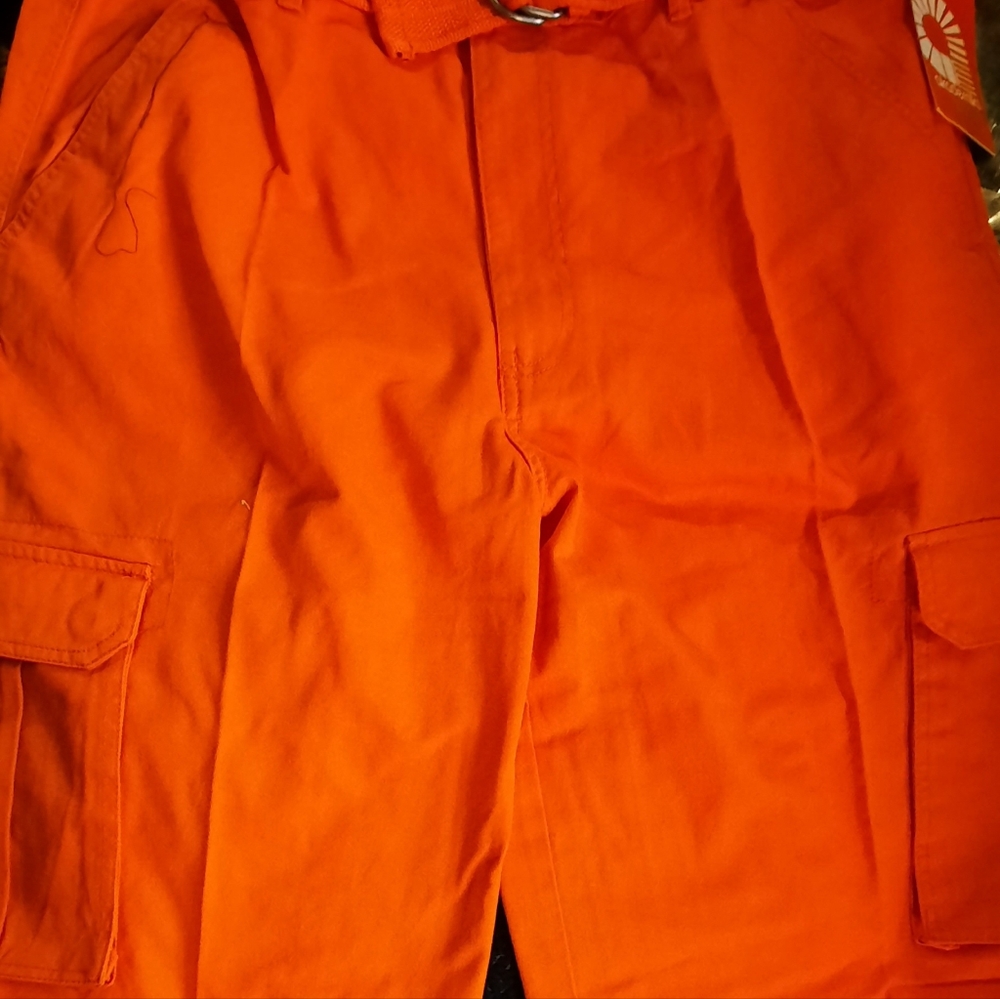 Shorts - Picture 3 of 4